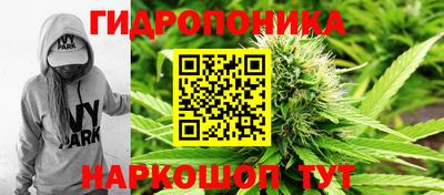PSILOCYBIN Нягань