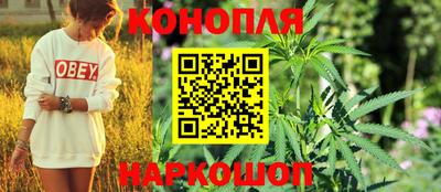 сатива Обнинск