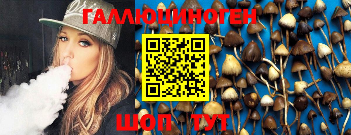 Галлюциногенные грибы MAGIC MUSHROOMS  наркошоп  Озёрск  Вход с VPN 
